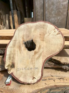 Spalted Maple